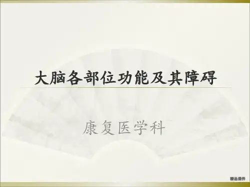大脑各部位功能及障碍