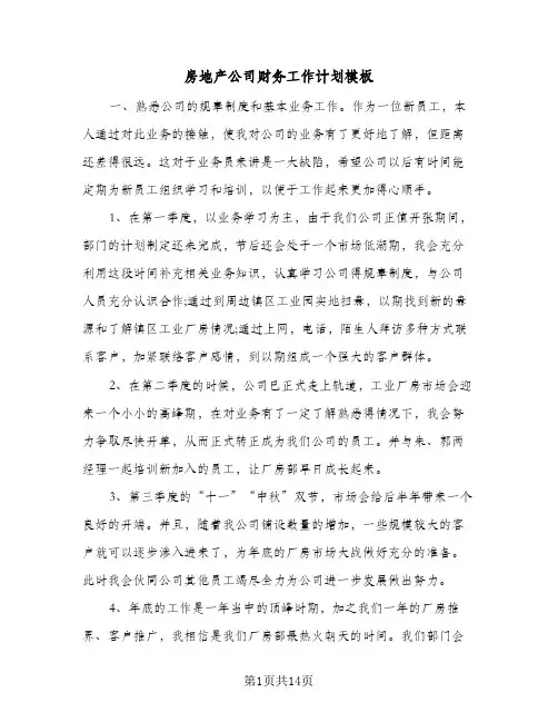 房地产公司财务工作计划模板（五篇）