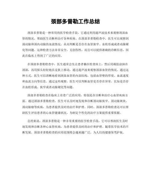 颈部多普勒工作总结