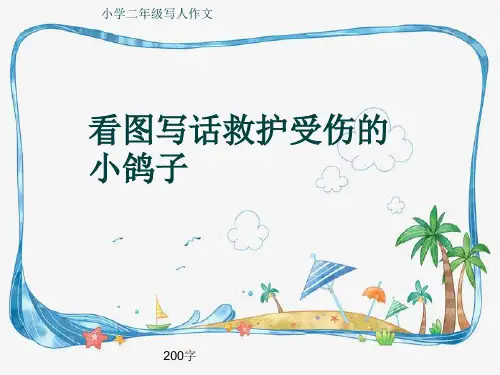 小学二年级写人作文《看图写话救护受伤的小鸽子》200字