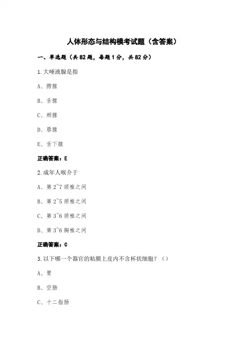 人体形态与结构模考试题(含答案)
