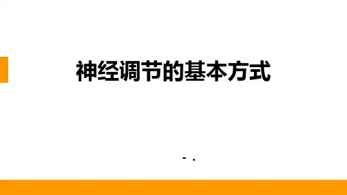 《神经调节的基本方式》PPT课件