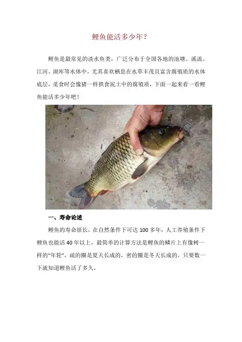 鲤鱼能活多少年？
