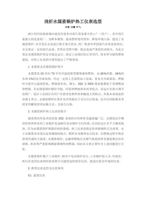 浅析水煤浆锅炉热工仪表选型
