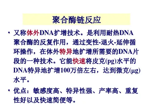 聚合酶链式反应ppt课件