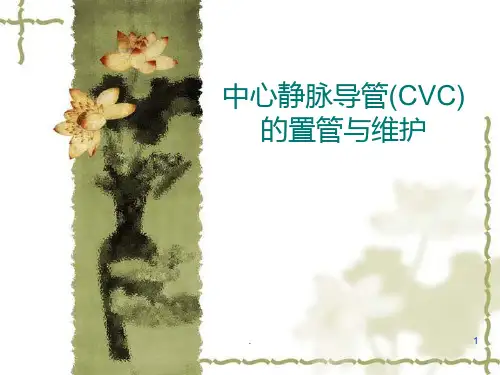 中心静脉导管(CVC)的置管与维护