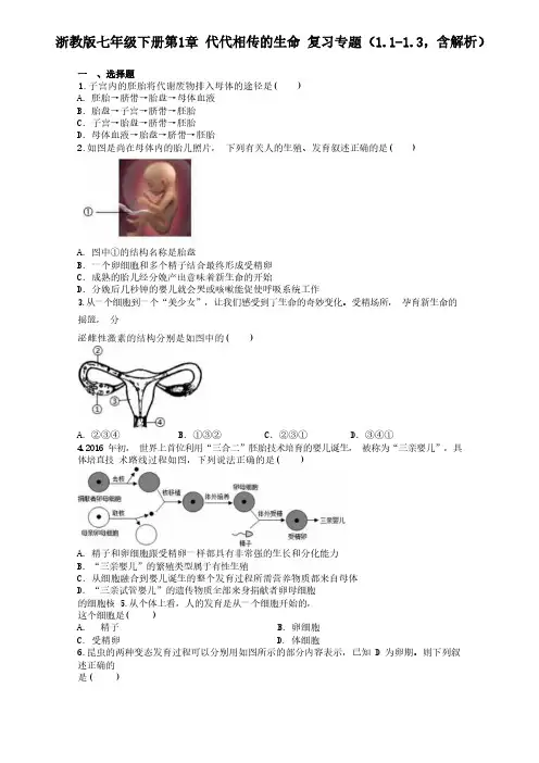 浙教版七年级下册第1章 代代相传的生命 复习专题(1.1-1.3,含解析)