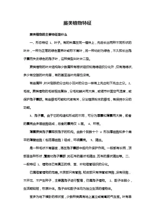 蕨类植物特征