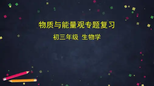 中考生物专题复习-物质与能量观专题复习-2课件