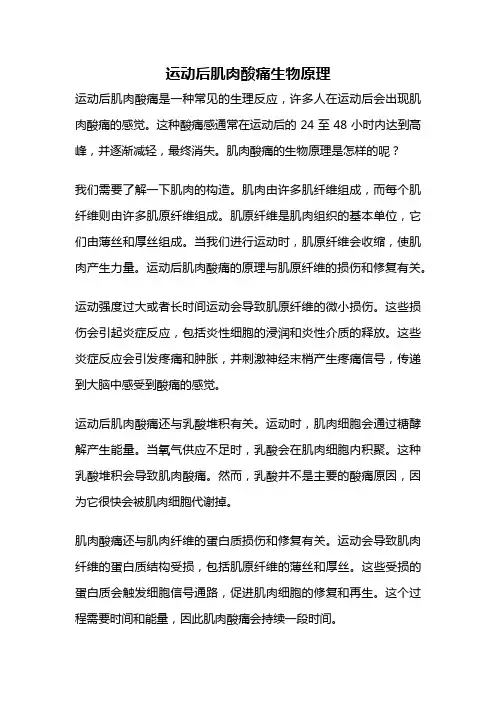 运动后肌肉酸痛生物原理