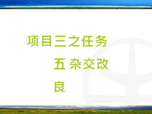 羊的杂交改良2