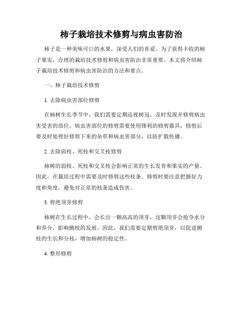 柿子栽培技术修剪与病虫害防治
