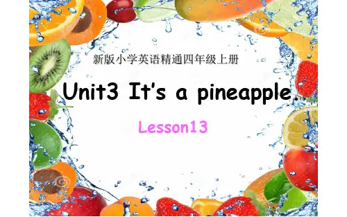 新版小学英语精通四年级上册Unit3  It's a pineapple lesson13