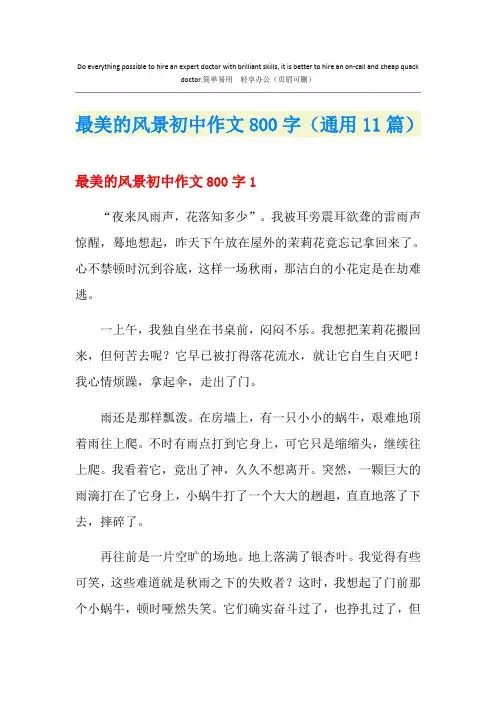 最美的风景初中作文800字(通用11篇)