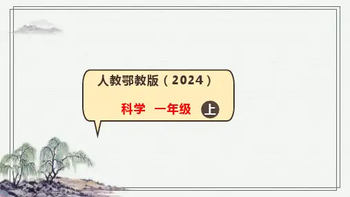 怎样学科学 课件(20张PPT)