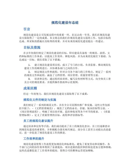 规范化建设年总结