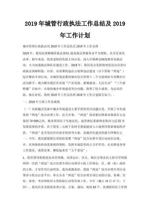 最新-2019年城管行政执法工作总结及2019年工作计划 精品