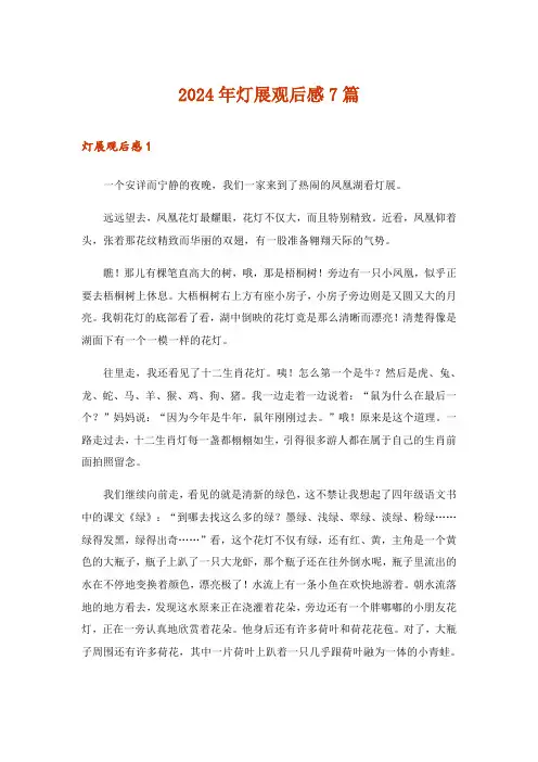 2024年灯展观后感7篇
