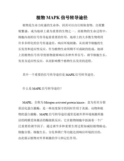 植物MAPK信号转导途径