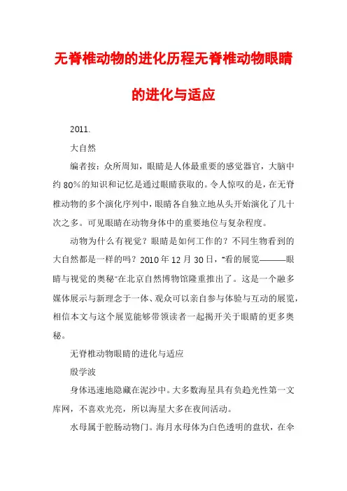 无脊椎动物的进化历程无脊椎动物眼睛的进化与适应