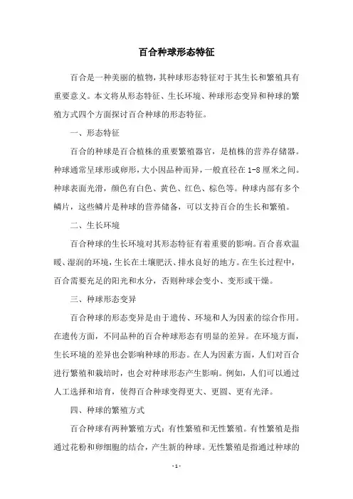 百合种球形态特征