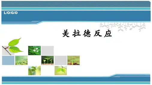 美拉德反应