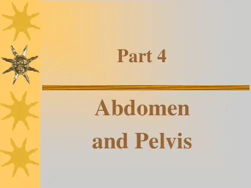 Gastrointestinal System(消化系统)影像学教学课件英文版