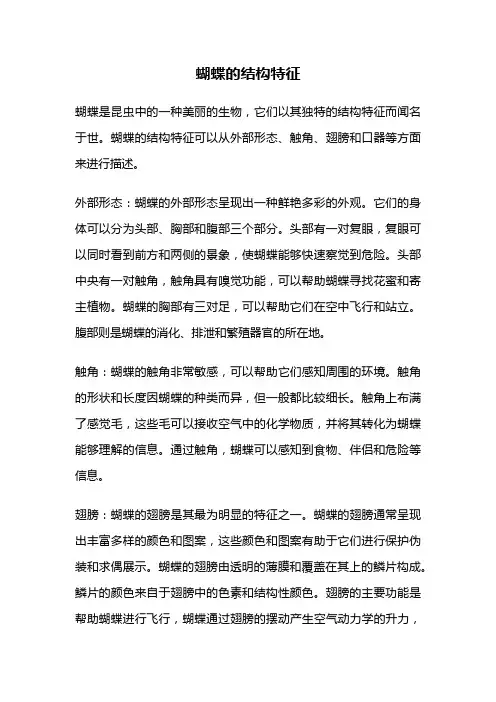 蝴蝶的结构特征