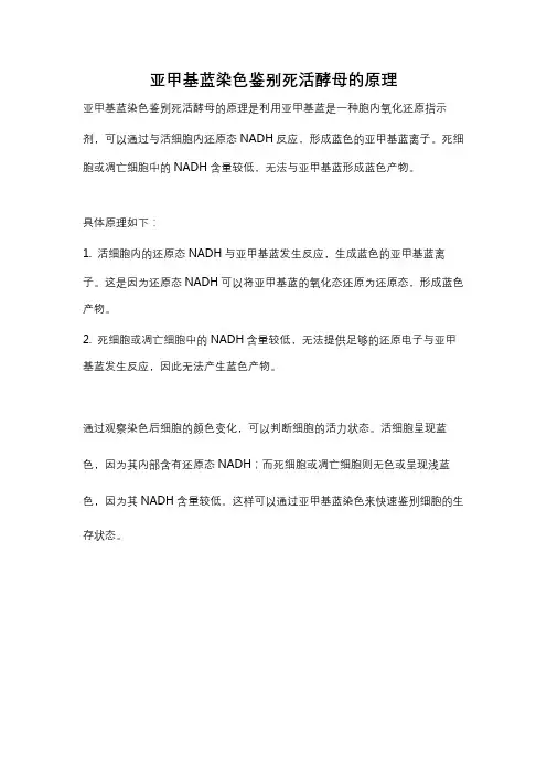 亚甲基蓝染色鉴别死活酵母的原理