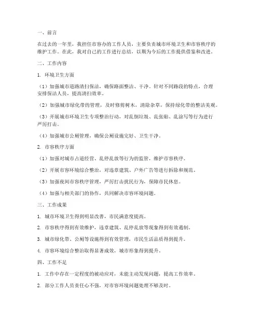 个人市容办工作总结
