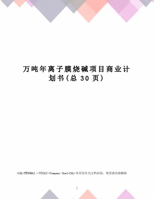 万吨年离子膜烧碱项目商业计划书