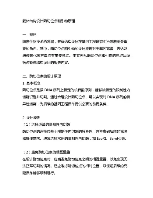 载体结构设计酶切位点和引物原理