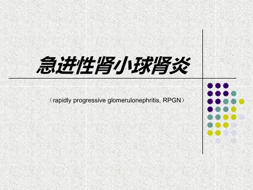 急进性肾小球肾炎