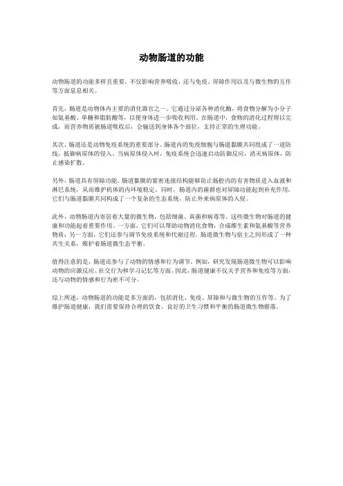 动物肠道的功能