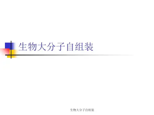 生物大分子自组装