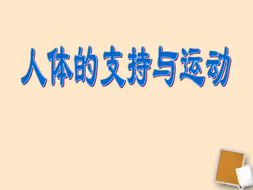 人体的支持与运动 PPT课件