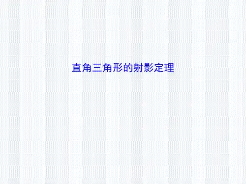直角三角形的射影定理 课件
