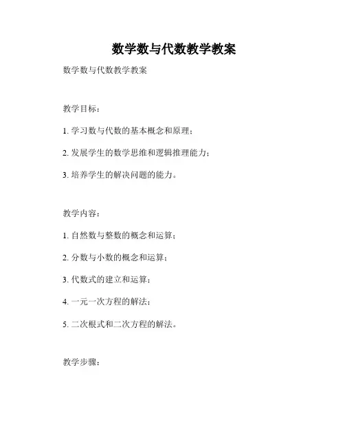  数学数与代数教学教案