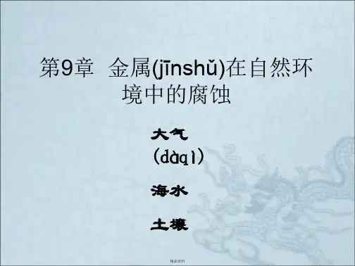 金属在自然环境中的腐蚀