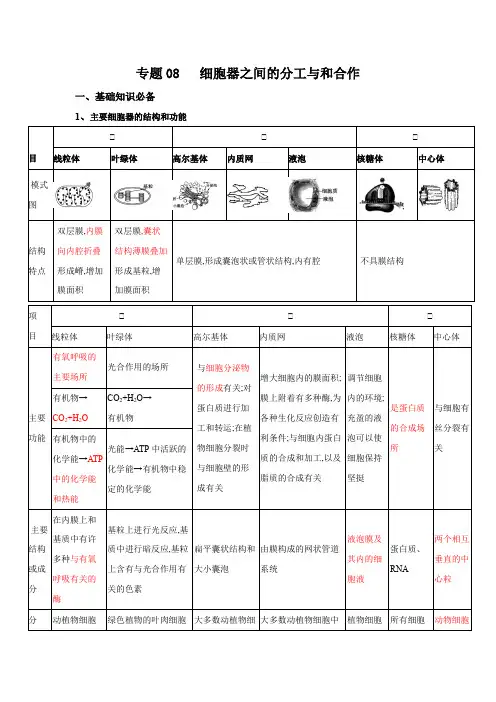 高中生物 复习总结细胞器之间的分工与和合作