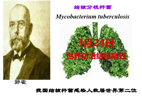 5.50结核分枝杆菌生物学形状