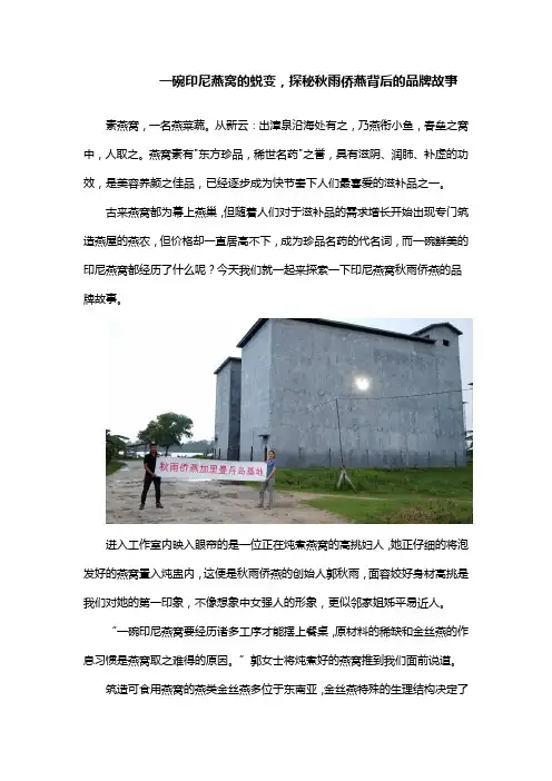 燕窝文案如何写---探秘秋雨侨燕