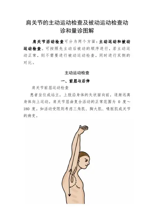 肩关节的主动运动检查及被动运动检查动诊和量诊图解