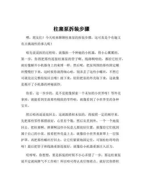 柱塞泵拆装步骤