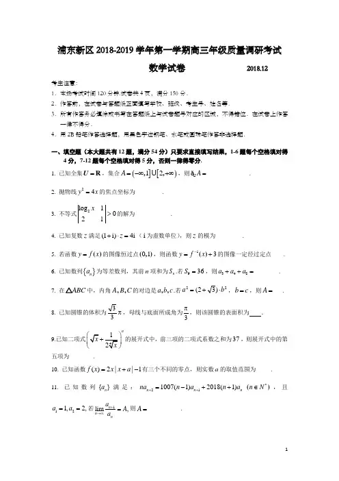 上海市浦东新区2019年高三第一学期期末(一模)学科质量检测数学试题及答案(word版)