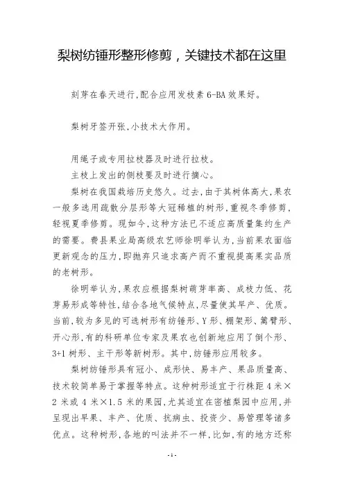 梨树纺锤形整形修剪,关键技术都在这里