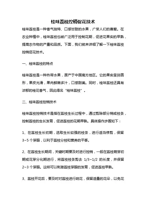 桂味荔枝控梢促花技术