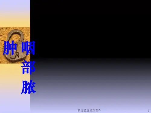 咽部脓肿ppt课件