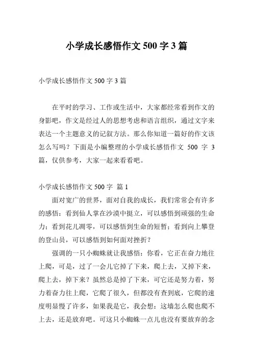 小学成长感悟作文500字3篇