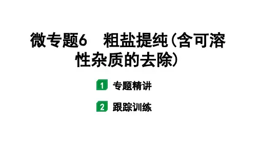 2024福建中考化学一轮复习 微专题6 粗盐提纯(含可溶性杂质的去除)(课件)